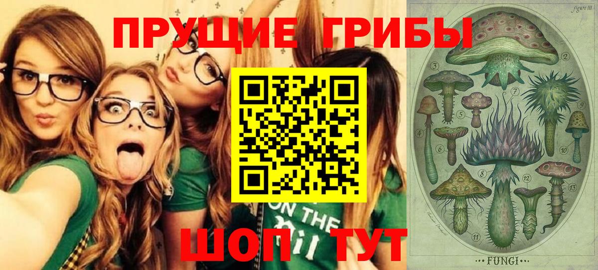 Псилоцибиновые грибы мухоморы  Вход с VPN  цены наркотик  Сальск 
